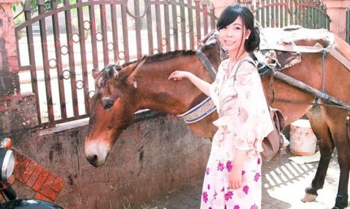 My Horse Friend in Marrakech