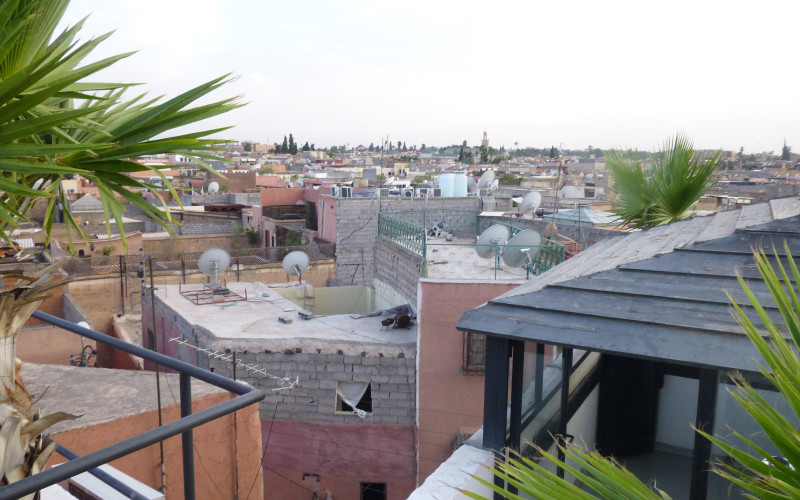 Riad Laarouss – Roof Top Garden