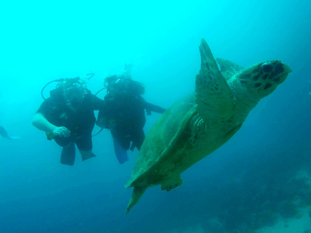 Dahab-Egypt-Diving-Lighthouse