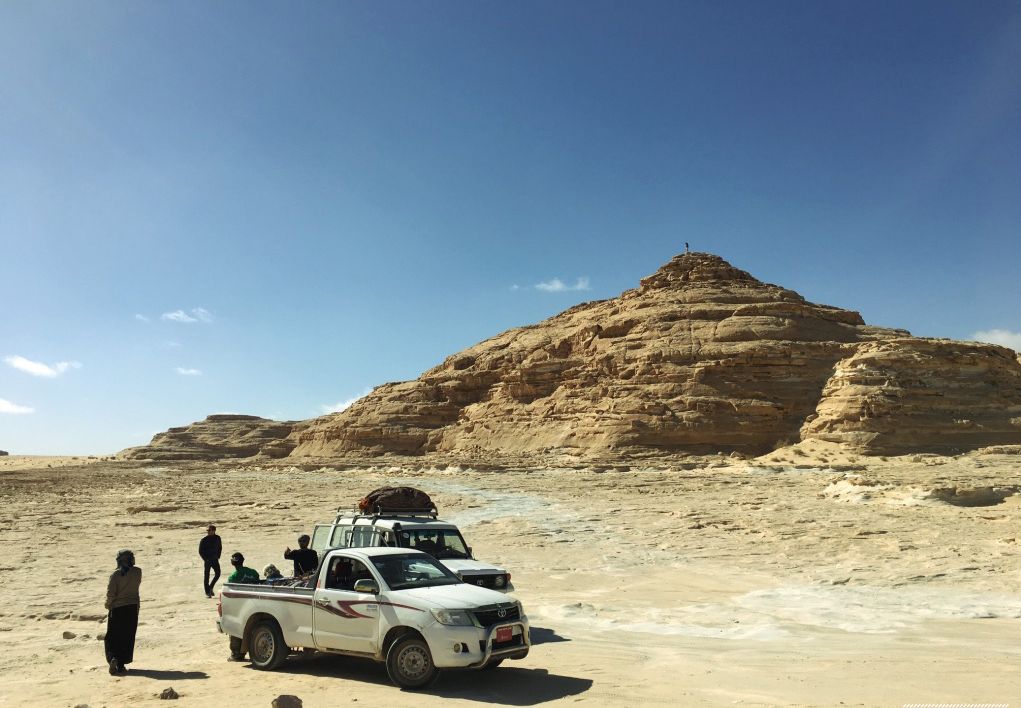 Egypt-Camel-Race-2017